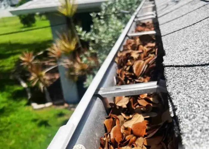 Endwell gutter cleaning home page